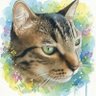 Lunita Villa profil fotoğrafı
