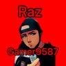 RazGamer9587's profile picture