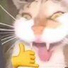 Profilbild von RodoRossas