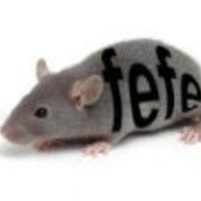 homoburros's profile picture