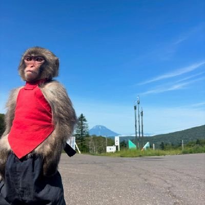 abrahamlinc148's profile picture