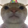 Autismo Hiperbóreo's profile picture