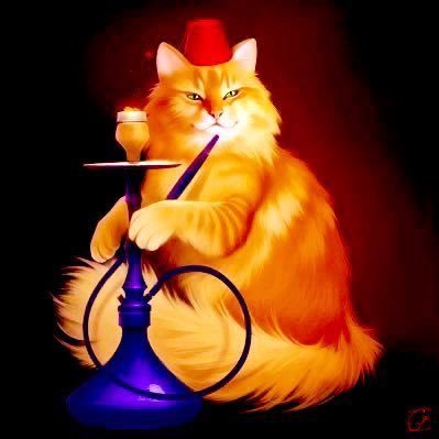 RayPeatHeadShop's profile picture