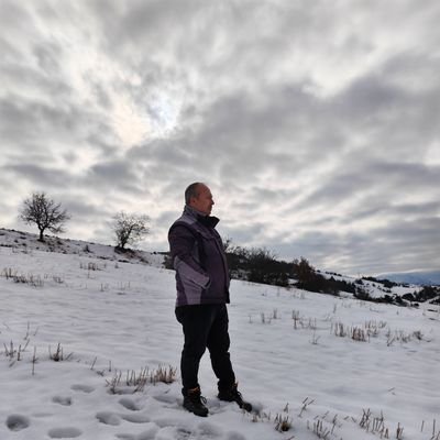 80UcarMehmet's profile picture