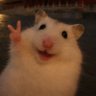 Profilbild von Hamster intenso Tucumáno