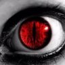 Profilbild von NFK