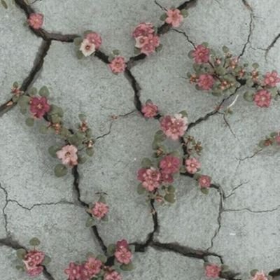 Dreamy5141's profile picture