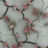 Фото профиля همیشه بهار🇮🇷