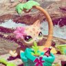 Profilbild von ✧