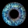 Фото профиля Douglas James
