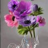 رداد profil fotoğrafı