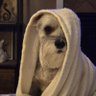 Profilbild von Libbylee1506