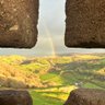 Фото профиля Henry Lynton