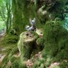 Amanda Ford💙🍏☮️🪁 的头像