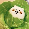 しろみ's profile picture