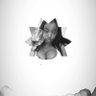 ju.'s profile picture