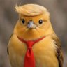 Mike R.'s profile picture