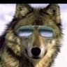 Sue Rebel at Heart profil fotoğrafı