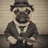 Bhonkesh Don profil fotoğrafı