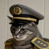 Nekolato 😺🤙's profile picture
