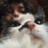 Profilbild von meli