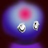 wiggertopia's profile picture