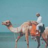هبوب's profile picture
