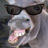 Devil's Advocate's profile picture