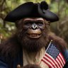 Profilbild von Rush Revere