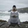 JimtheSeal's profile picture