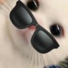 gfpzyp8v2🐬TermMax's profile picture