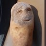Giuseppe profil fotoğrafı