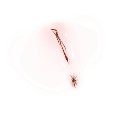 japuruguaia's profile picture