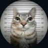 .ARVAAz profil fotoğrafı