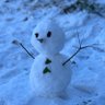 Ralala_l🏡コーヒーは濃いめがいぃい🐬🧢🐧🐉🐢🦁's profile picture