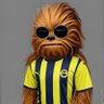 Fenerli Chewbacca 的头像