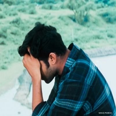M's profile picture