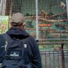 Фото профиля Зам по ꑭіхуям цивільний