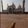 旅人レオ's profile picture