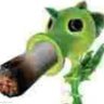 Profilbild von Chewx