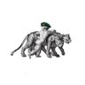 🇮🇷کلاه سبز's profile picture