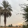 الجنوبي's profile picture