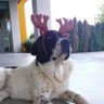 Özlem🇹🇷's profile picture