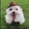 ๐ฝ ๐ถ๐๐๐ ๐๐๐๐๐๐ โ๏ธ's profile picture