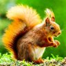 Profilbild von PetraMaria