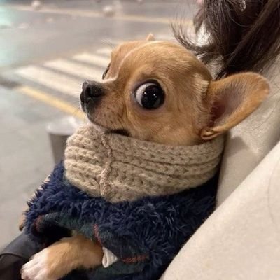 룽...'s profile picture