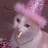Profilbild von кролик под котик