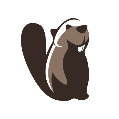 DBeaver's profile picture