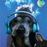 RandomFGD 🇵🇱 🐔's profile picture