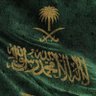 HSA🇸🇦's profile picture